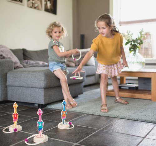 משחק קליעה למטרה ציפורים Ring Toss Birds מעץ