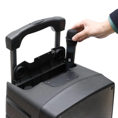 בידורית ניידת מקצועית עם 2 מיקרופונים 600W דגם Aiwa TSUNAMI-15  