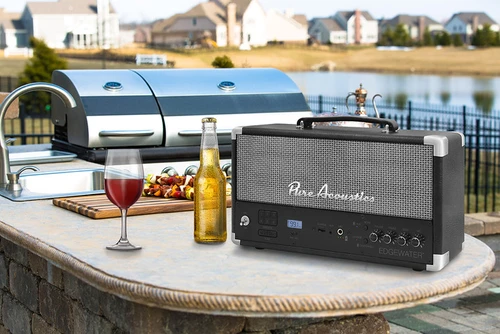 רמקול נייד בלוטוס סטריאו 100W דגם Pure Acoustics EDGEWATER-BLACK צבע שחור