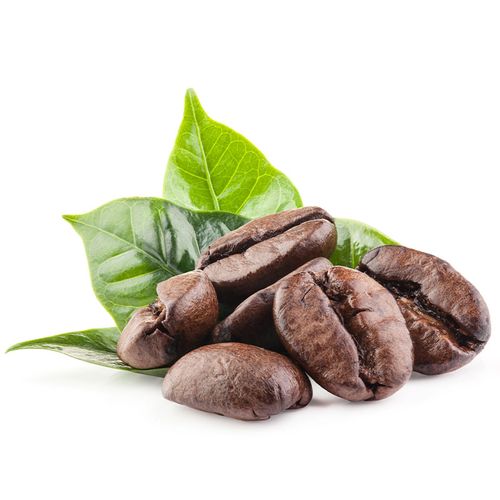 Pascale Indian Arabica Coffee Beans 