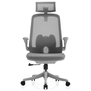 כסא משרדי ארגונומי Ergonix