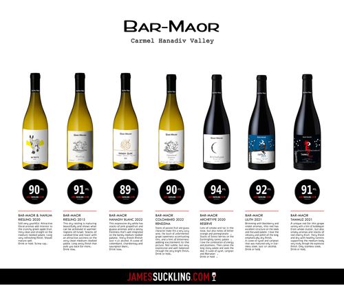 סוביניון בלאן רנדזינה  Sauvignon Blanc 2025
