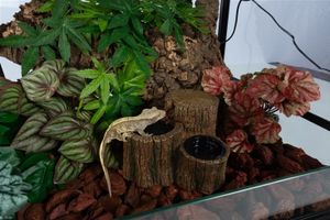  מפל מים דמוי גזעים 19.5*16*11.5 ס"מ REPTIZOO 