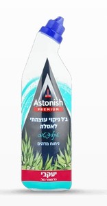 אסטוניש – ג