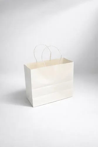 שקיות נייר 24X20+10