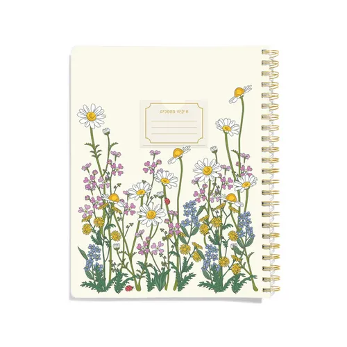 ספירלת שמרדפים: Wild Field Bright