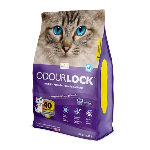 ODORLOCK חול מתגבש תוצרת קנדה 