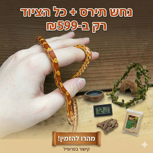 כרכן תירס לבחירה + כולל ציוד שלם !