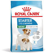 Royal Canin Mini Starter 8 kg