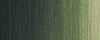 203 S1-Greenish umber צבע שמן 40 מ"ל