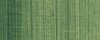 213 S1-Green earth צבע שמן 40 מ"ל