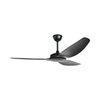 מאוורר תקרה מוגן מים שחור ללא תאורה HAVANA 60'' IP66 SMART