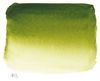 שפופרת צבע מים סנלייה 10מ"ל S1-813- Olive Green