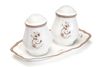 סט מלח פלפל +מגש BONE CHINA LIMOGES