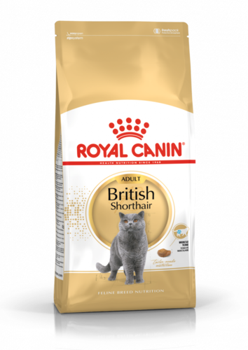 Royal Canin British Shorthair 4 kg