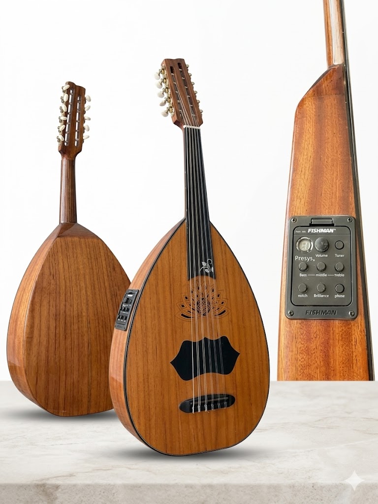 עוד חשמלי עם פיק אפ פיישמן SULTAN SM-C100