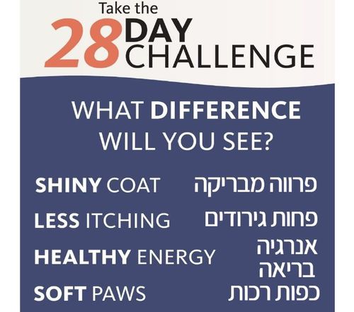 300ml Brilliant Salmon oil