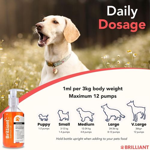 300ml Brilliant Salmon oil