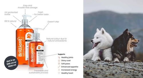 300ml Brilliant Salmon oil