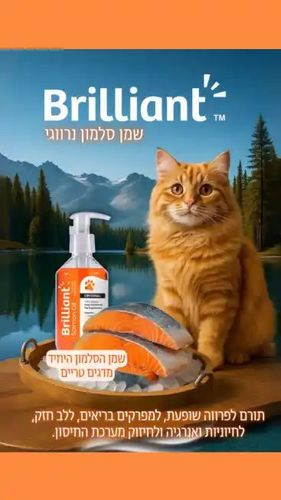 1L Brilliant Salmon oil