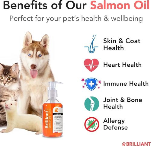 1L Brilliant Salmon oil