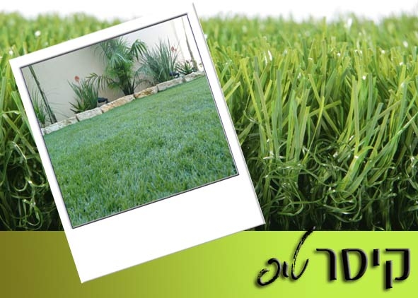 דשא סינטטי קיסר