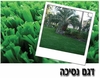 דשא סינטטי נסיכה