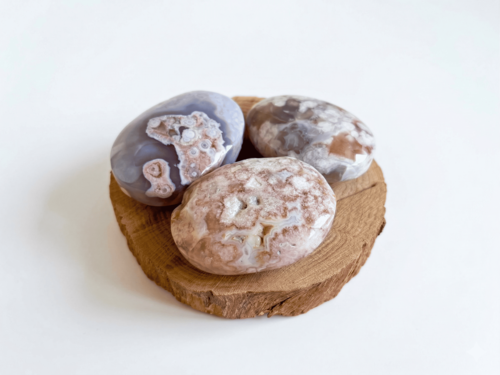 פאלם אגת פרח FLOWER AGATE PALM