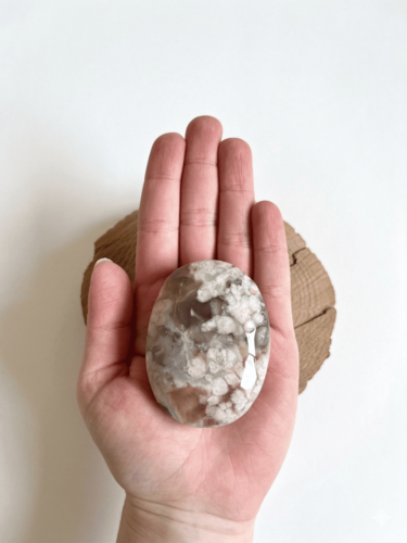 פאלם אגת פרח FLOWER AGATE PALM