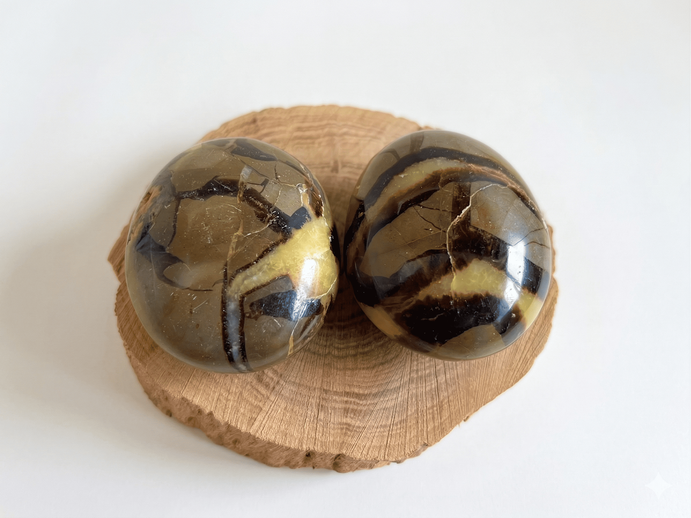 פאלם כלציט ספקטריה CALCITE SEPTARIAN PALM
