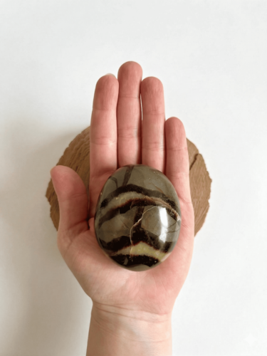 פאלם כלציט ספקטריה CALCITE SEPTARIAN PALM