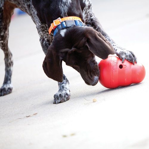קונג נחום תקום The KONG Wobbler