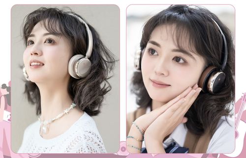 FiiO Snowsky Anytime - אוזניות בלוטוס עם ביטול רעשים