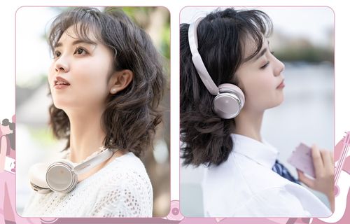 FiiO Snowsky Anytime - אוזניות בלוטוס עם ביטול רעשים