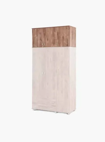 ארון -דן 