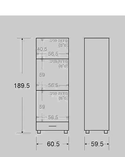 שירטוט