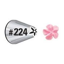 צנטר #224 סי אנד בי