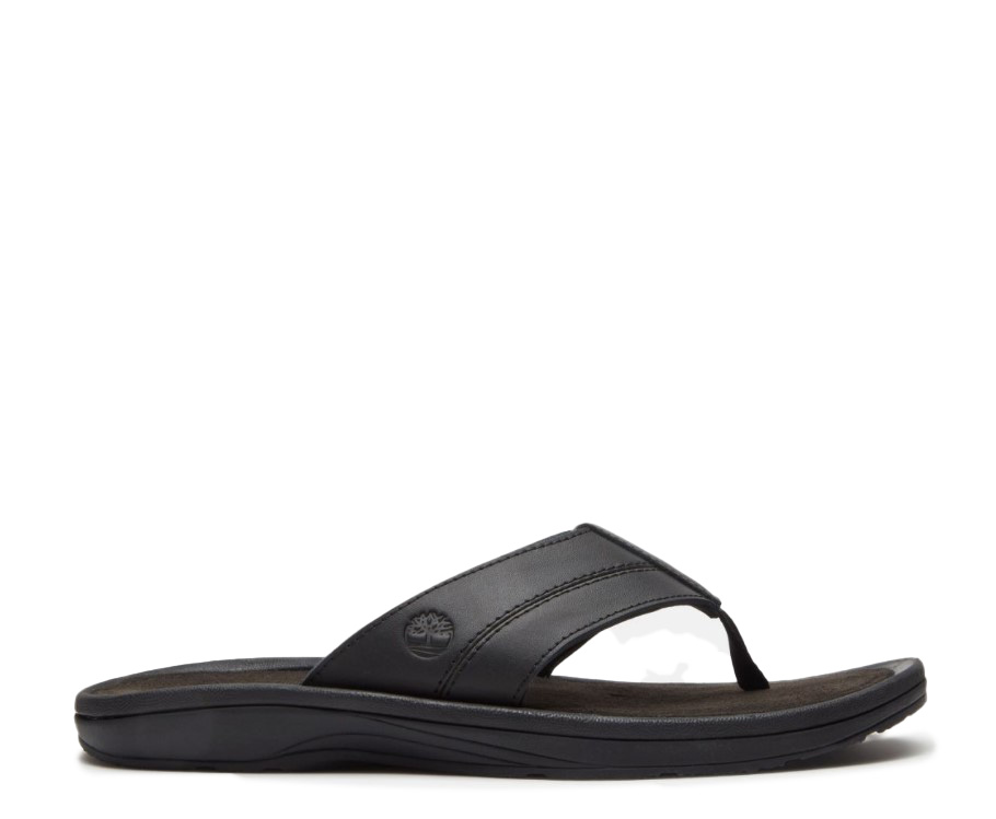 כפכפי טימברלנד Timberland Original Flip Flop | גברים