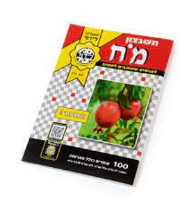 תשבצון מח מס ' 266 לידור