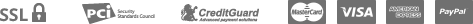 payment_icon