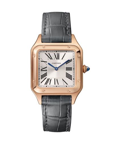 שעון קרטייה Cartier Santos-Dumont watch wgsa0117