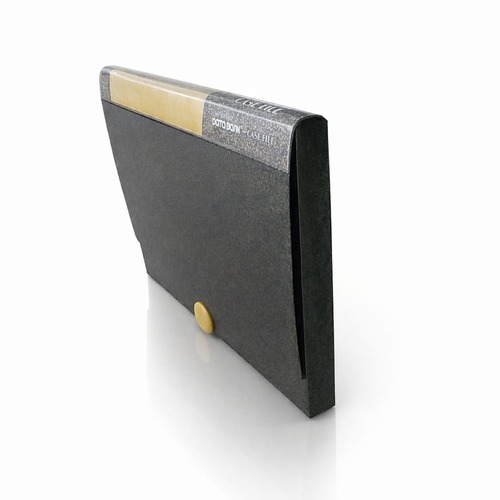 תיקיית מסמכים DOTTO BOOK CASE FILE