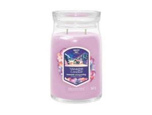 נר ריחני - Yankee Candle Summit Stargazing Signature Large Jar 567G