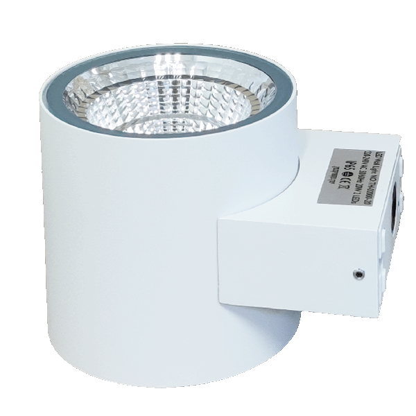 אלה 20W IP65