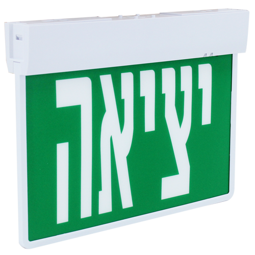 אבוקדו