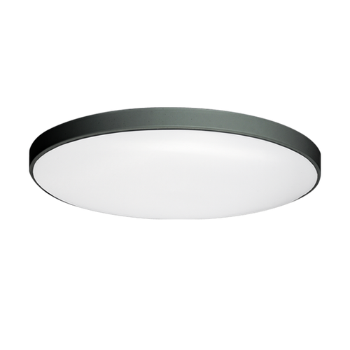 ענבר 18W