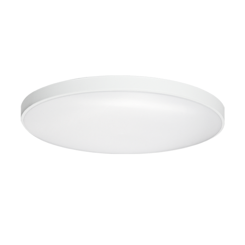 ענבר 18W