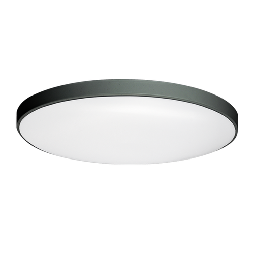 ענבר 24W