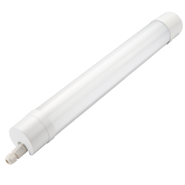 שיבולת 100W