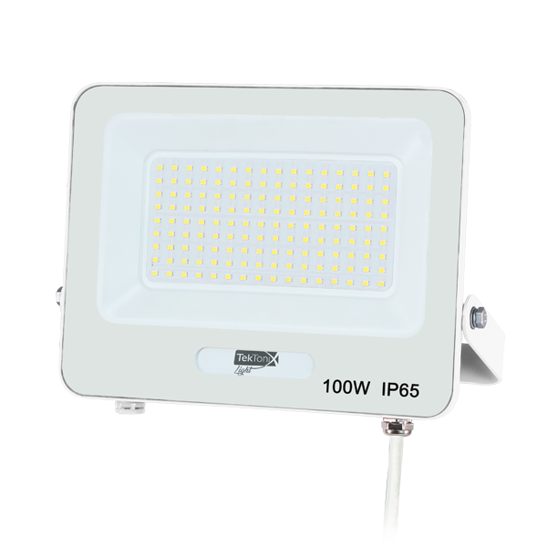 שחף 100W